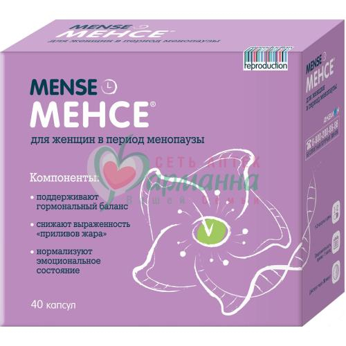 МЕНСЕ №40 КАПС.